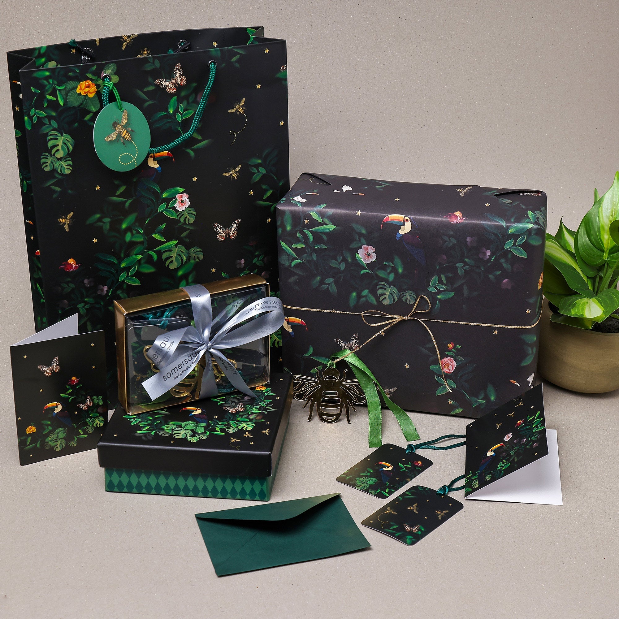 Tropical Night Collection