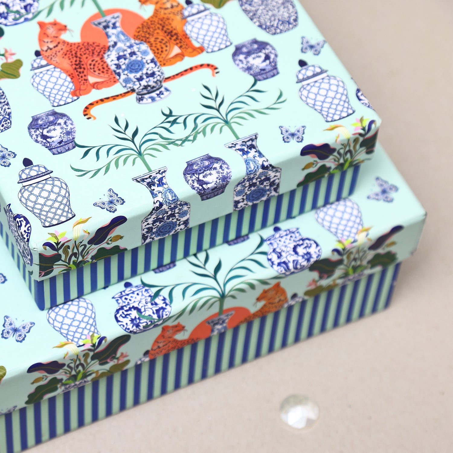 Cheetah Chutzpah Gift Box – Set of 2