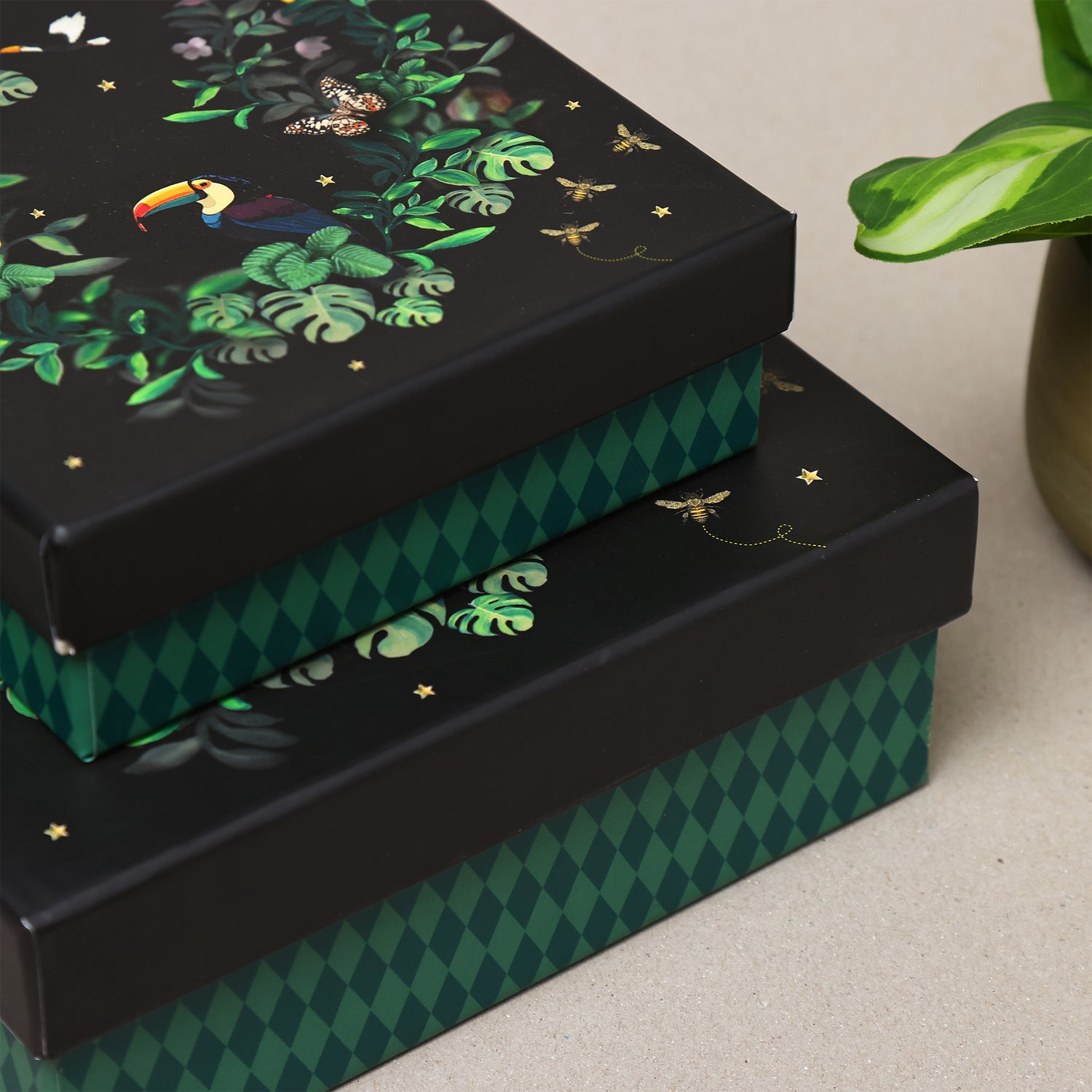 Tropical Night Gift Boxes – Set of 2