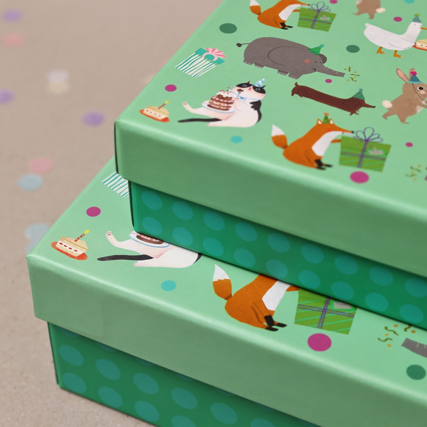Party Animals Gift Box - Set of 2